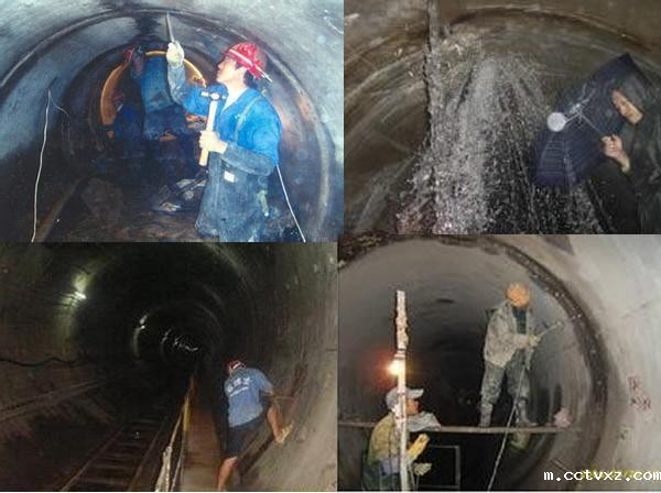 输煤雷竞技官网入口app